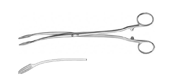 ПОКРАЩ. КОРЦАНГ ВИГН. 240MM